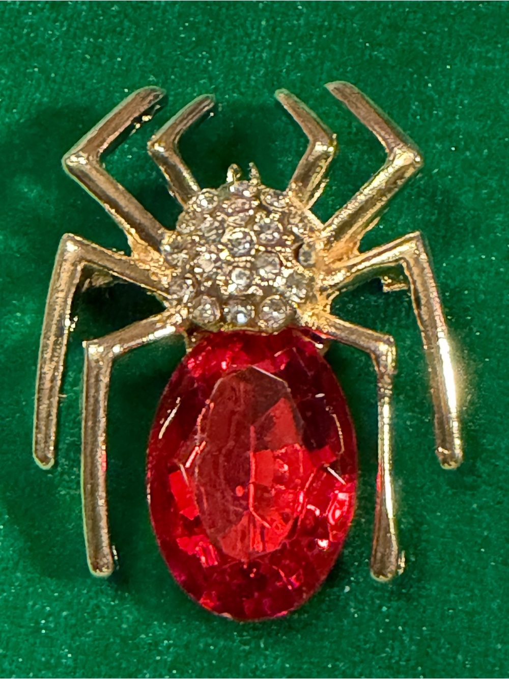 Gold Spider Brooch with Red Crystal Accent - Women Jewelry